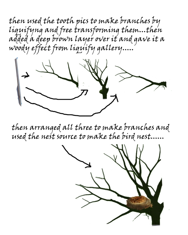 Creation of Nature's Birthday: Step 3